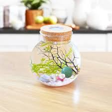 Mini Terrarium med LED-ljus för Betta Fisk