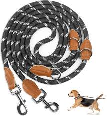 PETCOOZ Justerbart Hundkoppel med Dubbel Krok - 3 m Nylon